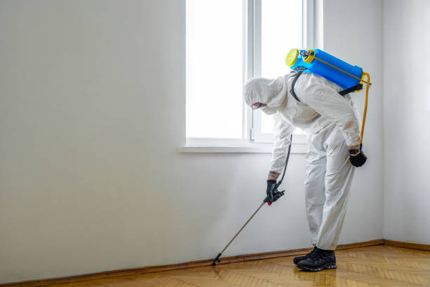 Best Pest Control Near Me  in Westby, WI